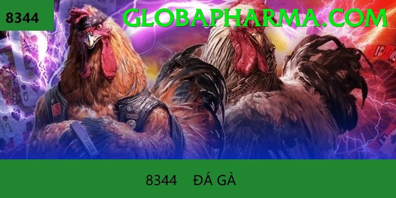 Đá Gà Trực Tiếp - Ưu đãi đặc biệt